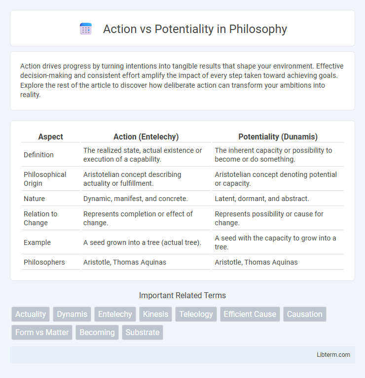 Potentiality vs Action in Philosophy - What is The Difference?