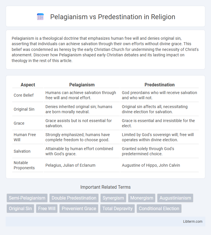 Predestination vs Pelagianism in Religion - What is The Difference?