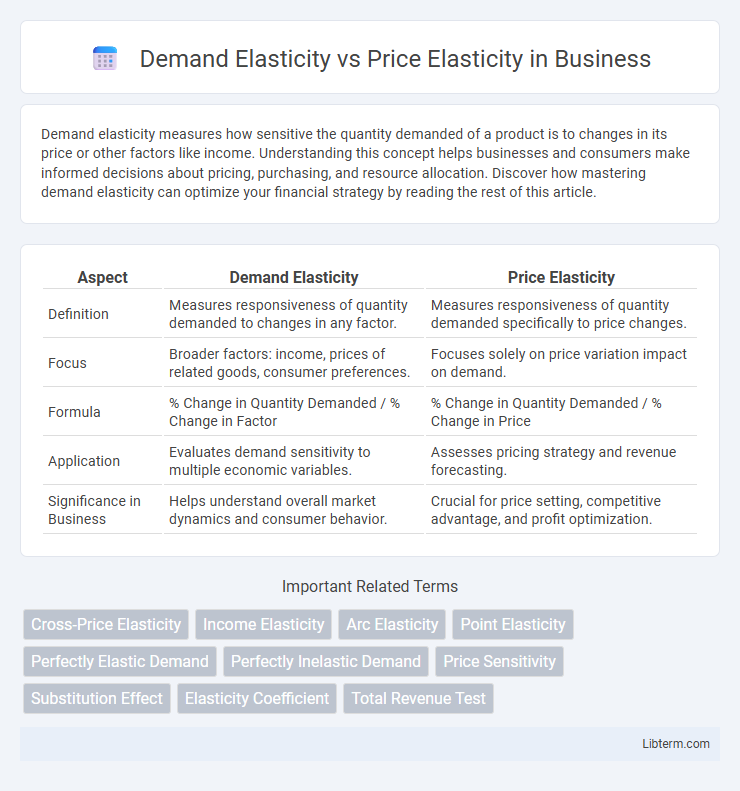 Price Elasticity vs Demand Elasticity in Business - What is The Difference?