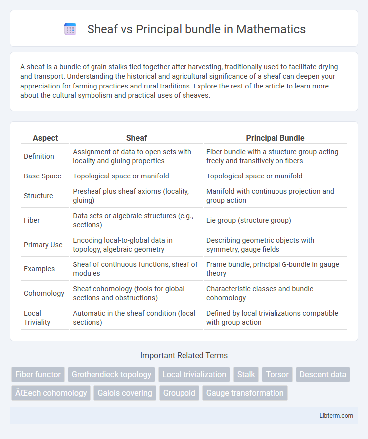 Principal bundle vs Sheaf in Mathematics - What is The Difference?