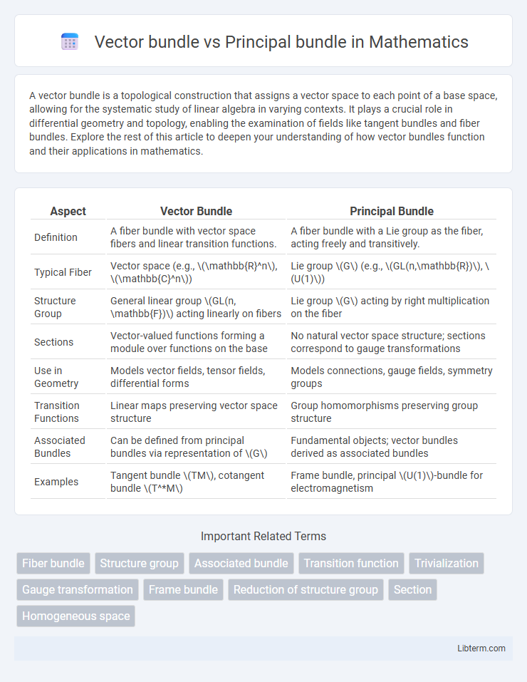 Principal bundle vs Vector bundle in Mathematics - What is The Difference?