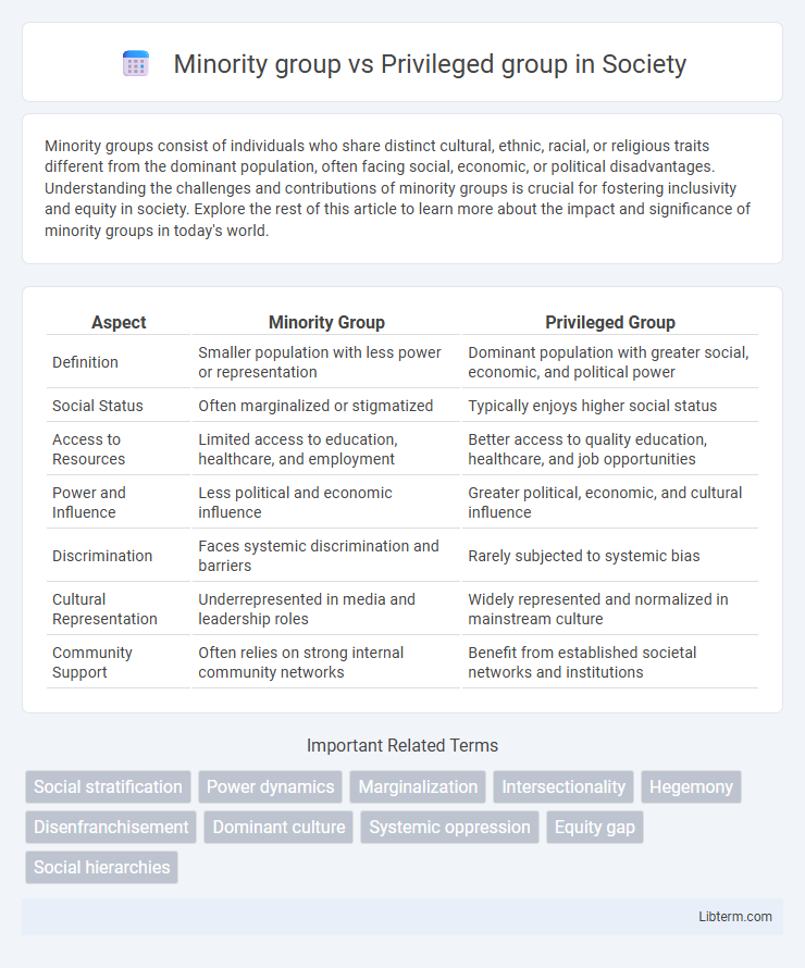 Privileged group vs Minority group in Society - What is The Difference?