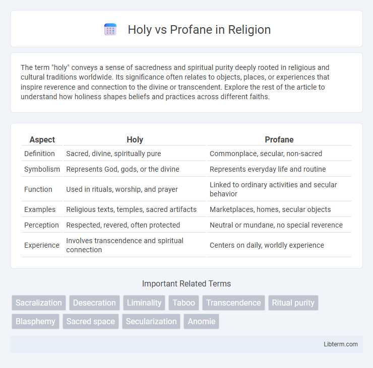 Profane vs Holy in Religion - What is The Difference?