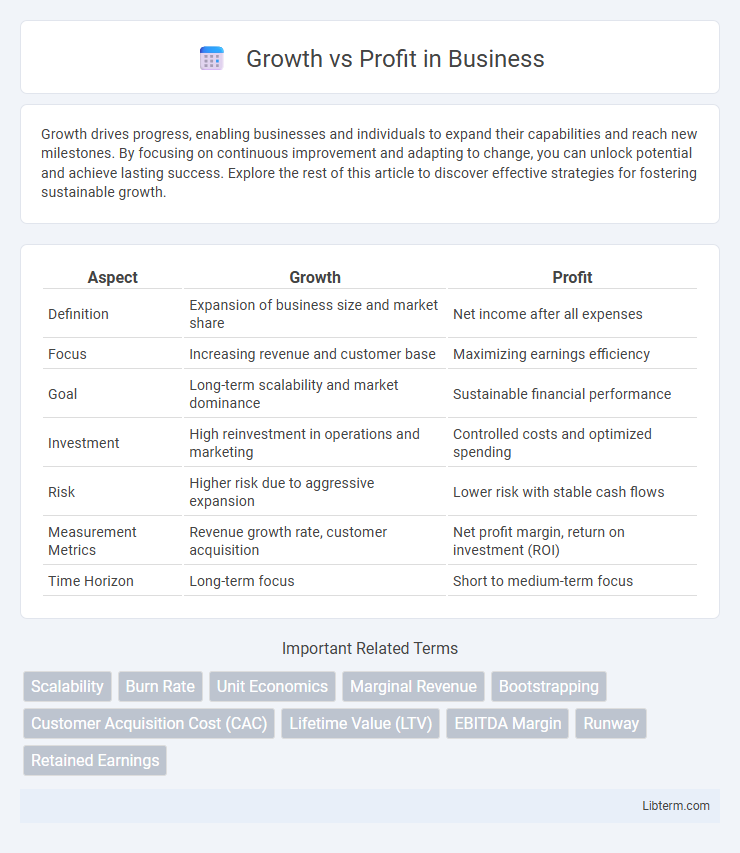 Profit vs Growth in Business - What is The Difference?