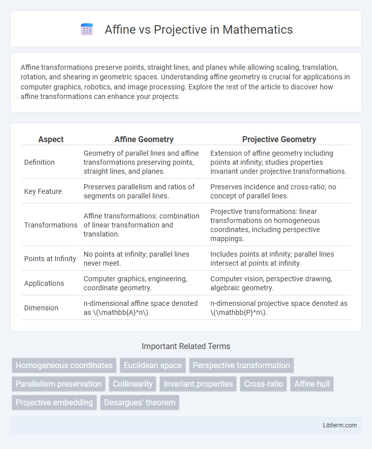 Projective vs Affine in Mathematics - What is The Difference?