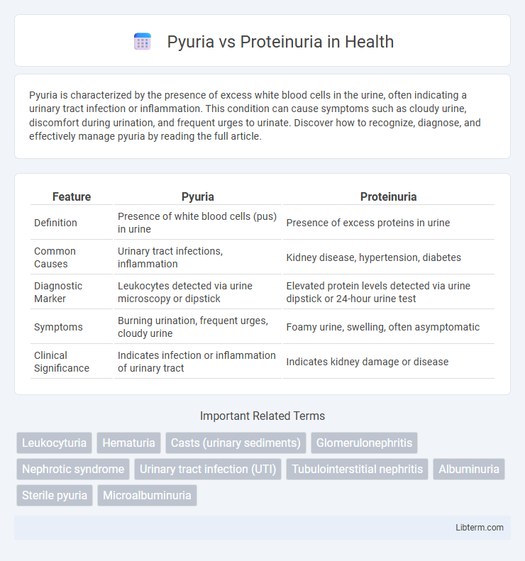 Proteinuria vs Pyuria in Health - What is The Difference?