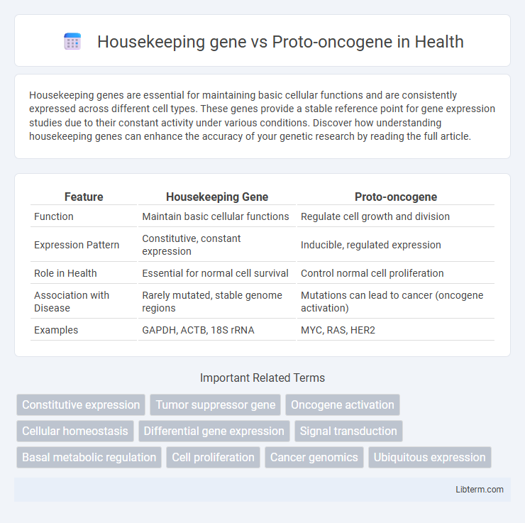 Proto-oncogene vs Housekeeping gene in Health - What is The Difference?