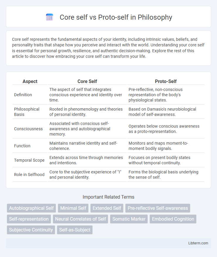 Proto-self vs Core self in Philosophy - What is The Difference?