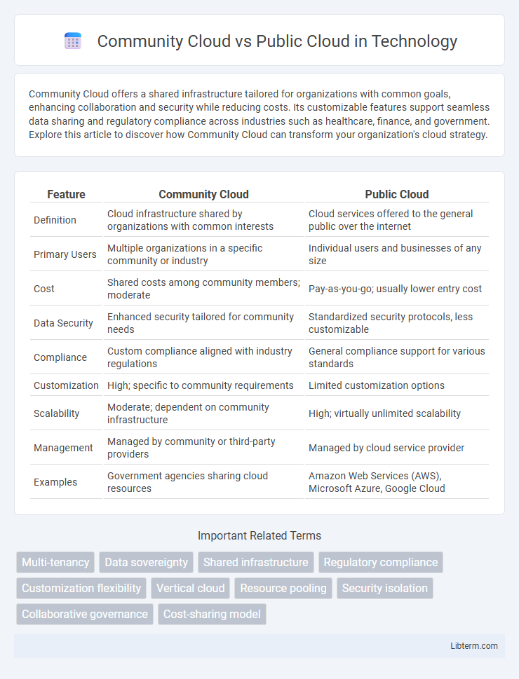Public Cloud vs Community Cloud in Technology - What is The Difference?