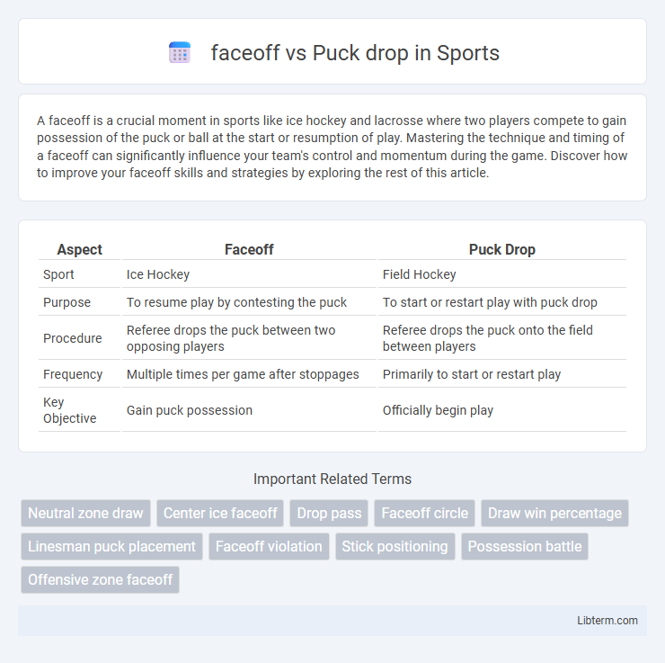 Puck drop vs faceoff in Sports - What is The Difference?