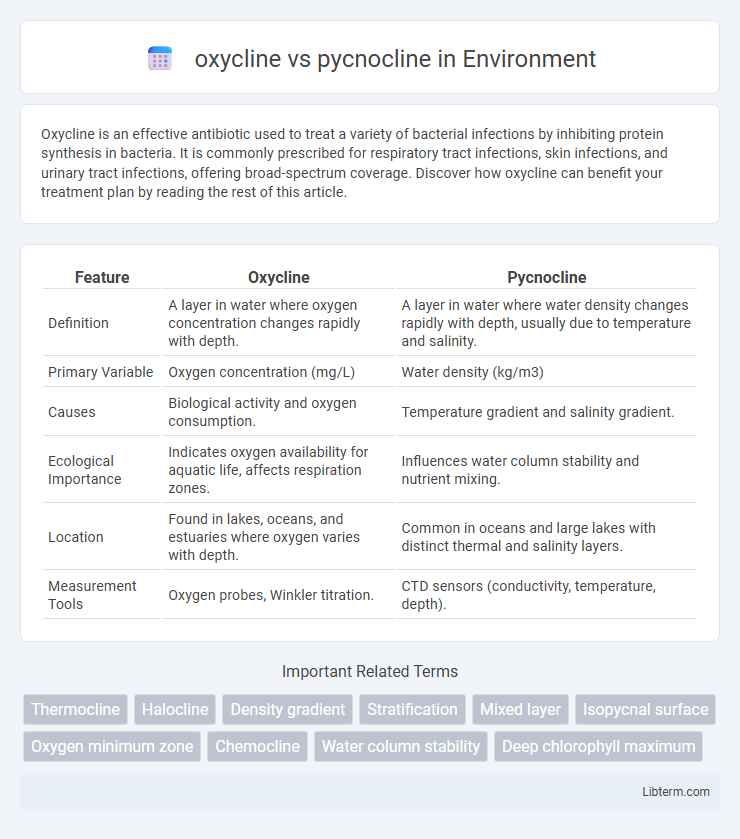 pycnocline vs oxycline in Environment - What is The Difference?