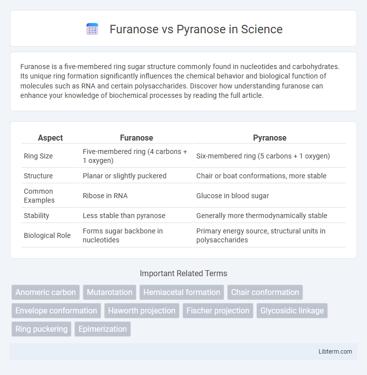 Pyranose vs Furanose in Science - What is The Difference?