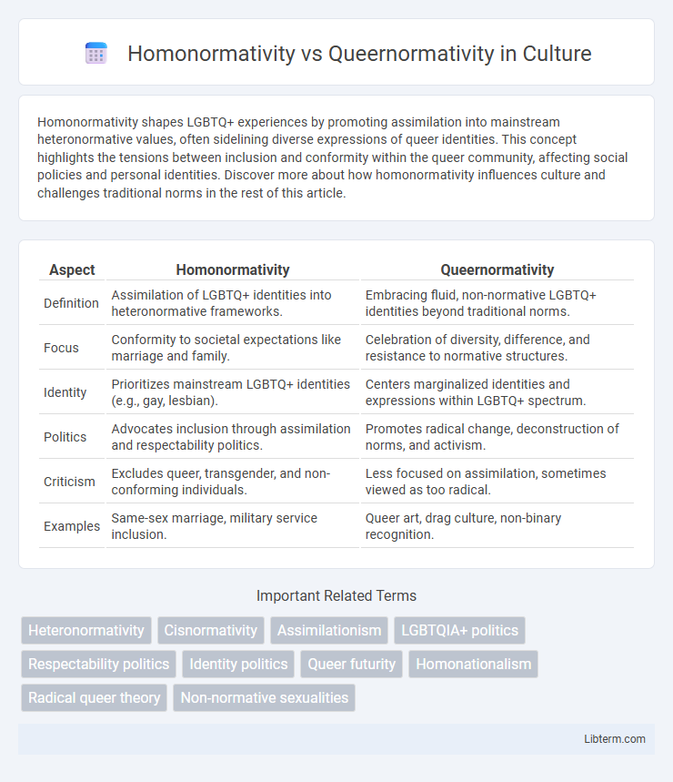 Queernormativity vs Homonormativity in Culture - What is The Difference?