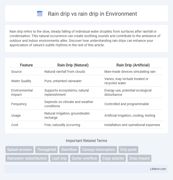 rain drip vs Rain drip in Environment - What is The Difference?