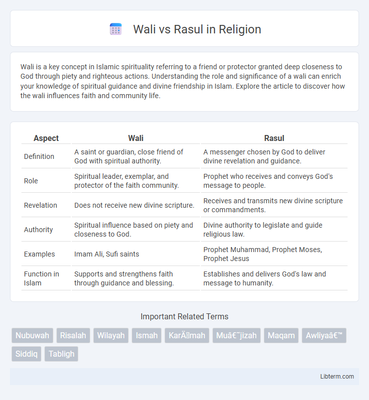Rasul vs Wali in Religion - What is The Difference?
