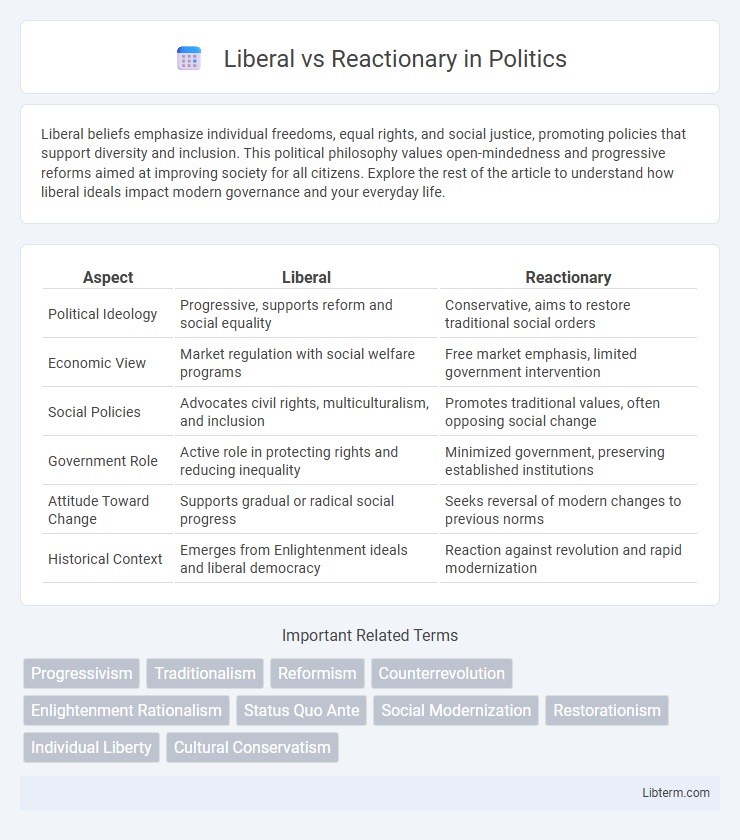 Reactionary vs Liberal in Politics - What is The Difference?