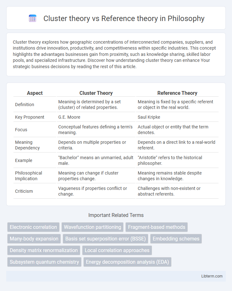 Reference theory vs Cluster theory in Philosophy - What is The Difference?