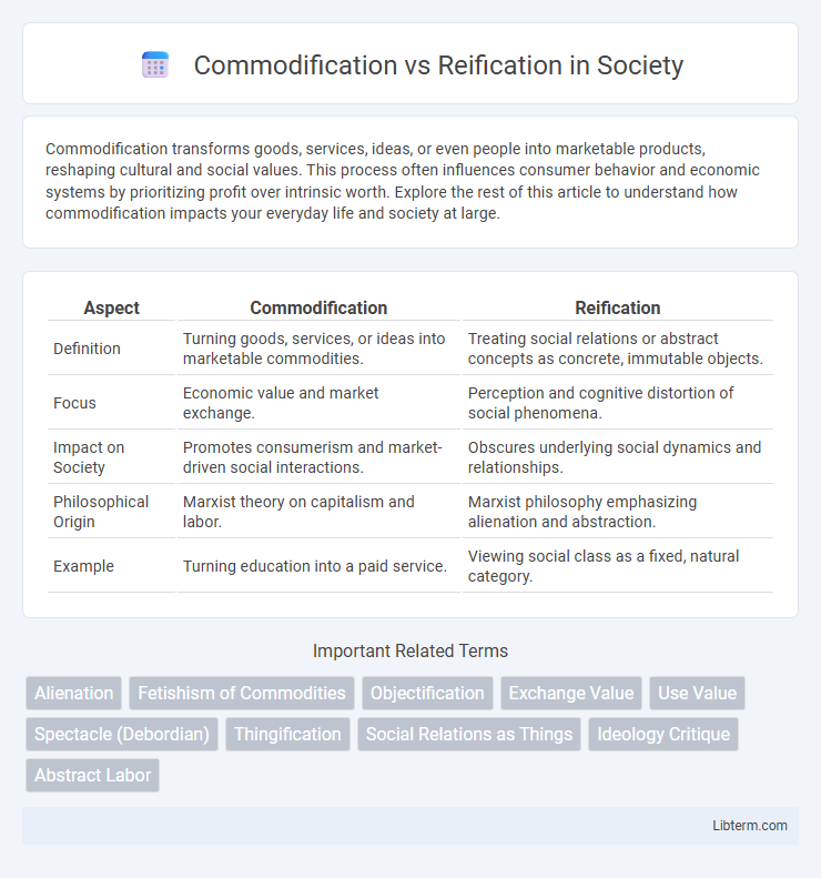 Reification vs Commodification in Society - What is The Difference?
