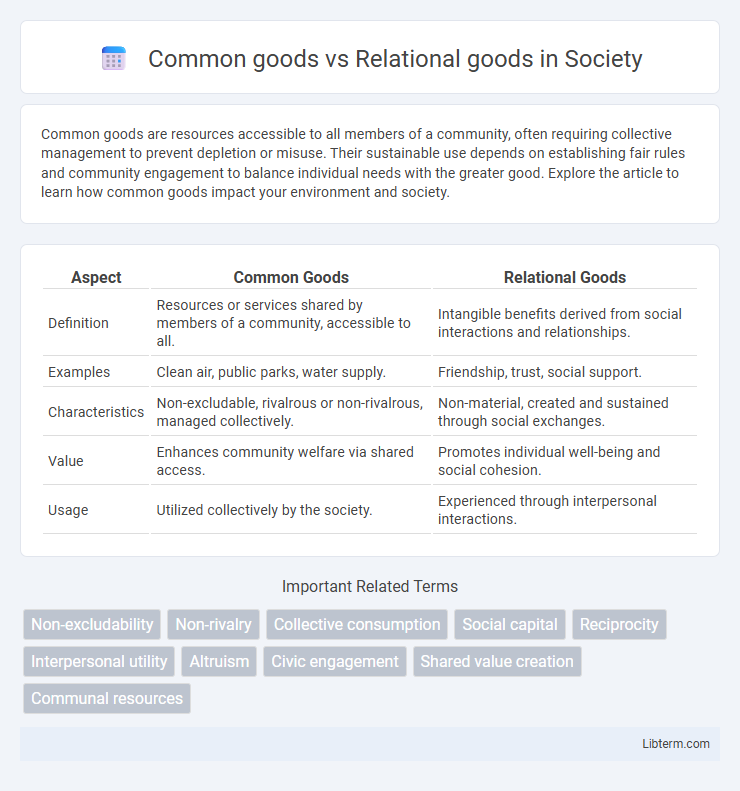 Relational goods vs Common goods in Society - What is The Difference?