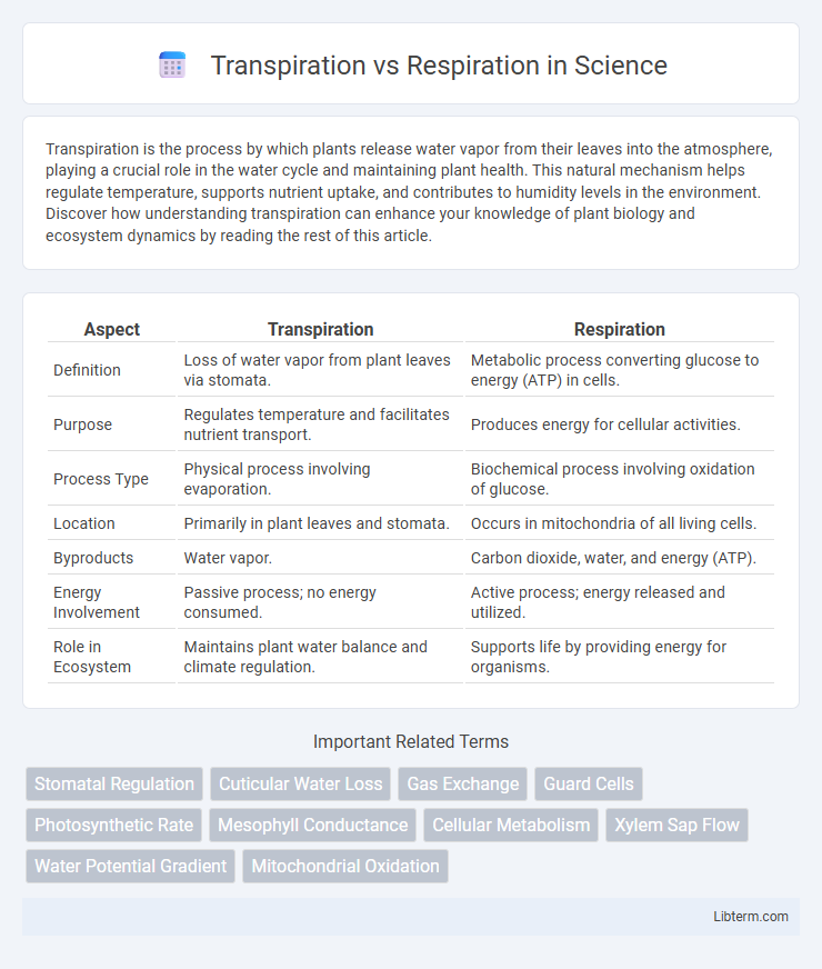 Respiration vs Transpiration in Science - What is The Difference?