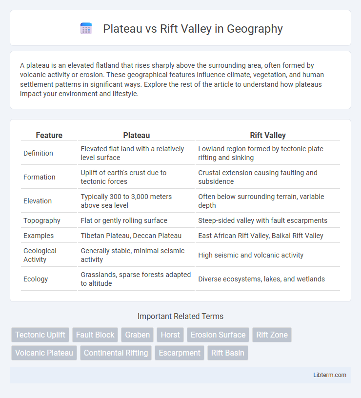 Rift Valley vs Plateau in Geography - What is The Difference?