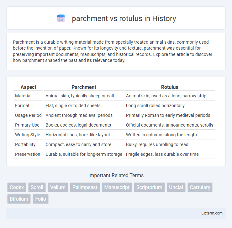 rotulus vs parchment in History - What is The Difference?