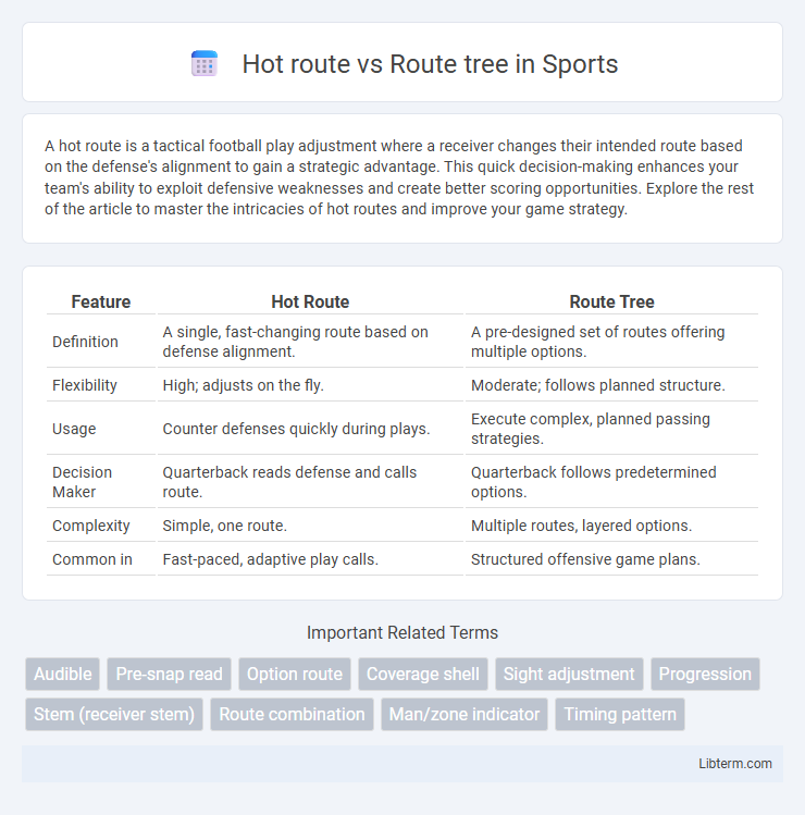 Route tree vs Hot route in Sports - What is The Difference?