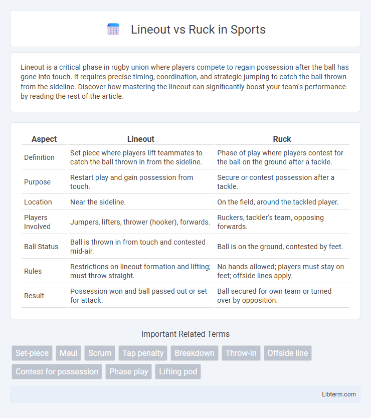 Ruck vs Lineout in Sports - What is The Difference?
