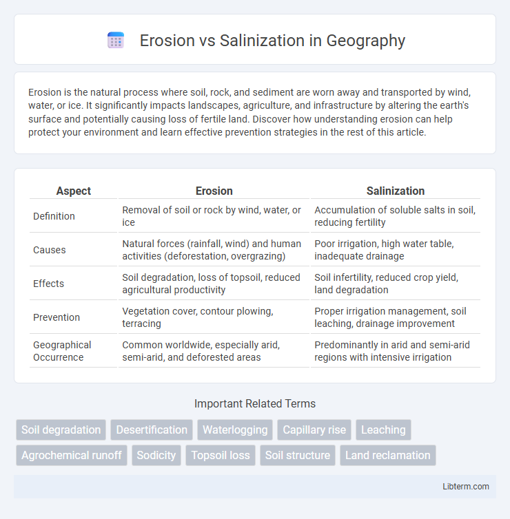 Salinization vs Erosion in Geography - What is The Difference?