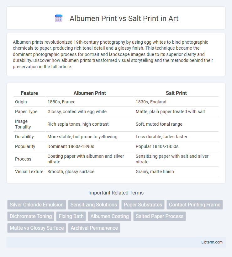 Salt Print vs Albumen Print in Art - What is The Difference?