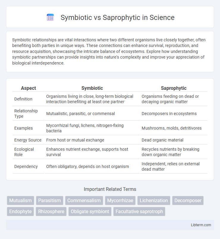 Saprophytic vs Symbiotic in Science - What is The Difference?