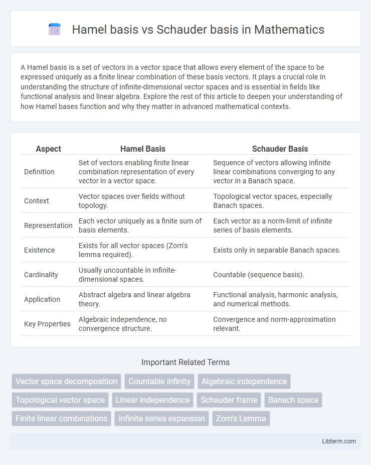 Schauder basis vs Hamel basis in Mathematics - What is The Difference?