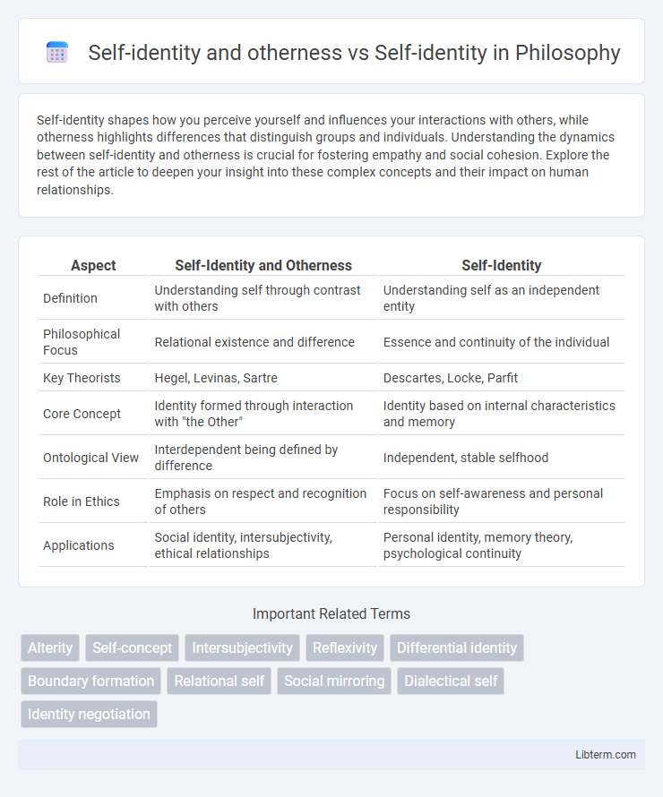 Self-identity vs Self-identity and otherness in Philosophy - What is The Difference?