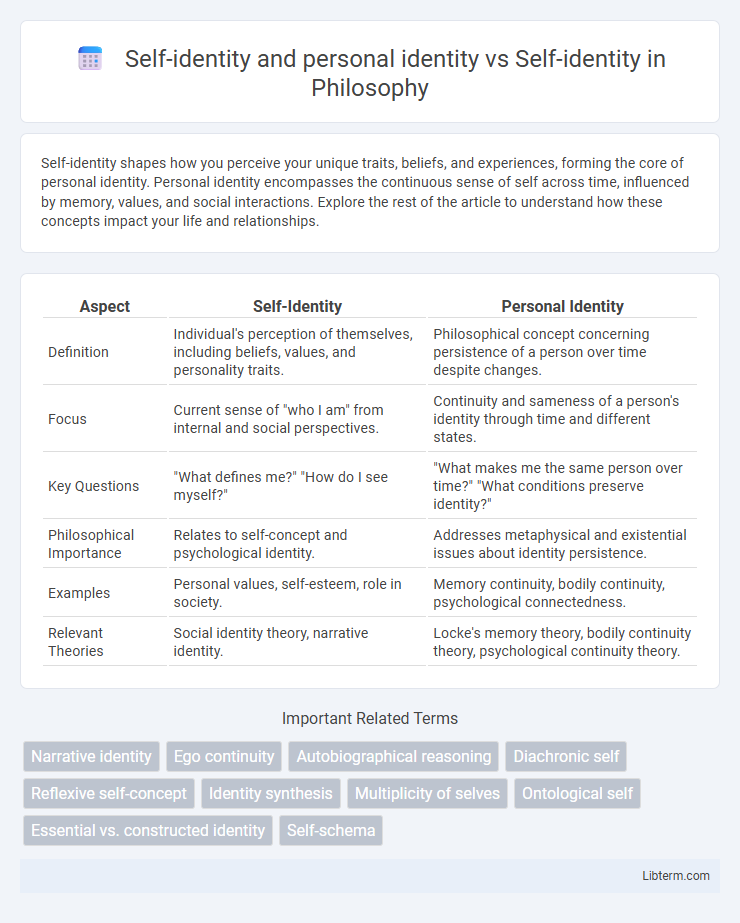 Self-identity vs Self-identity and personal identity in Philosophy - What is The Difference?