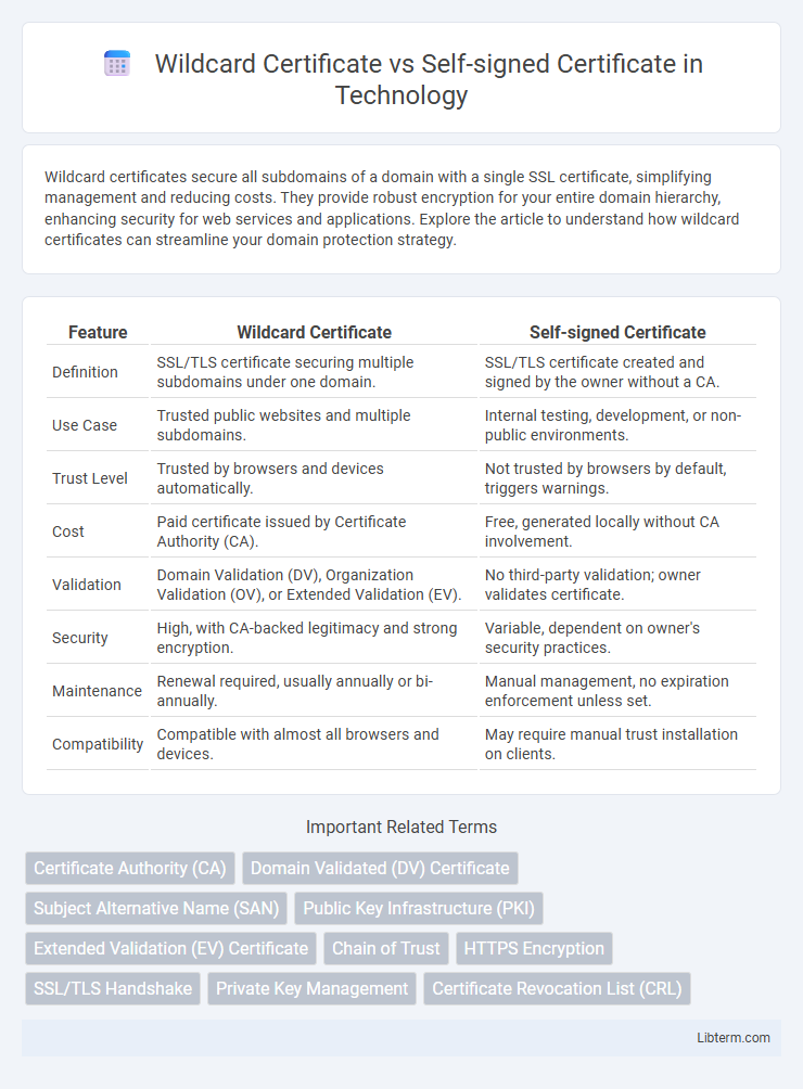 Self-signed Certificate vs Wildcard Certificate in Technology - What is The Difference?