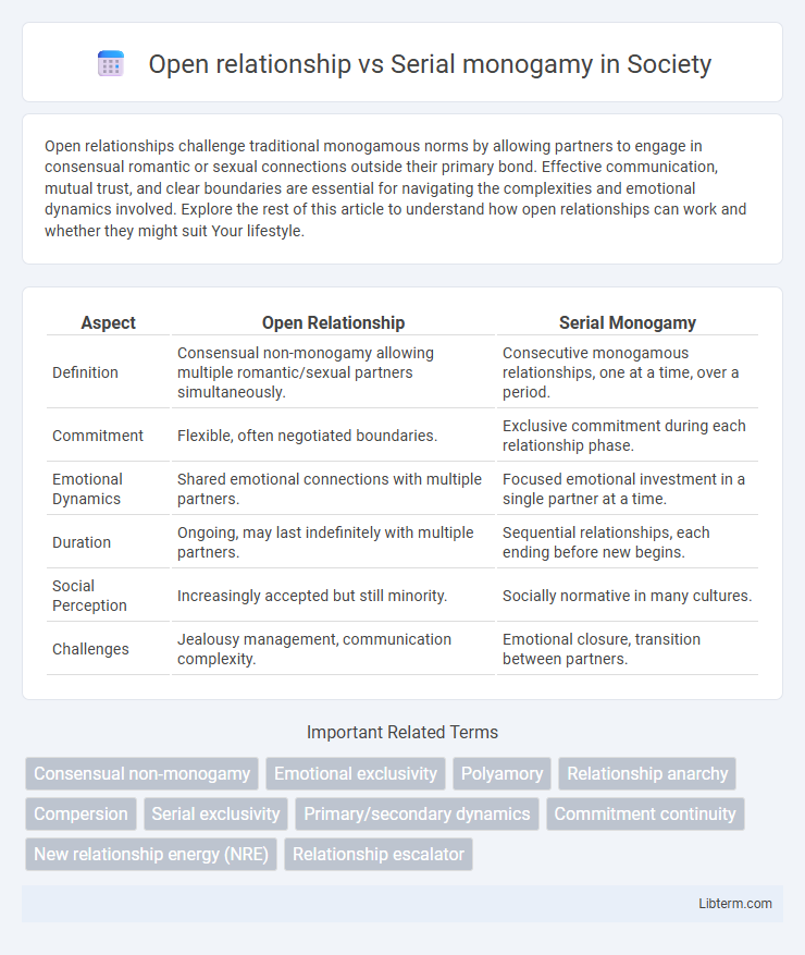 Serial monogamy vs Open relationship in Society - What is The Difference?