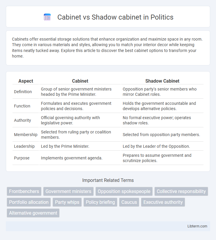 Shadow cabinet vs Cabinet in Politics - What is The Difference?