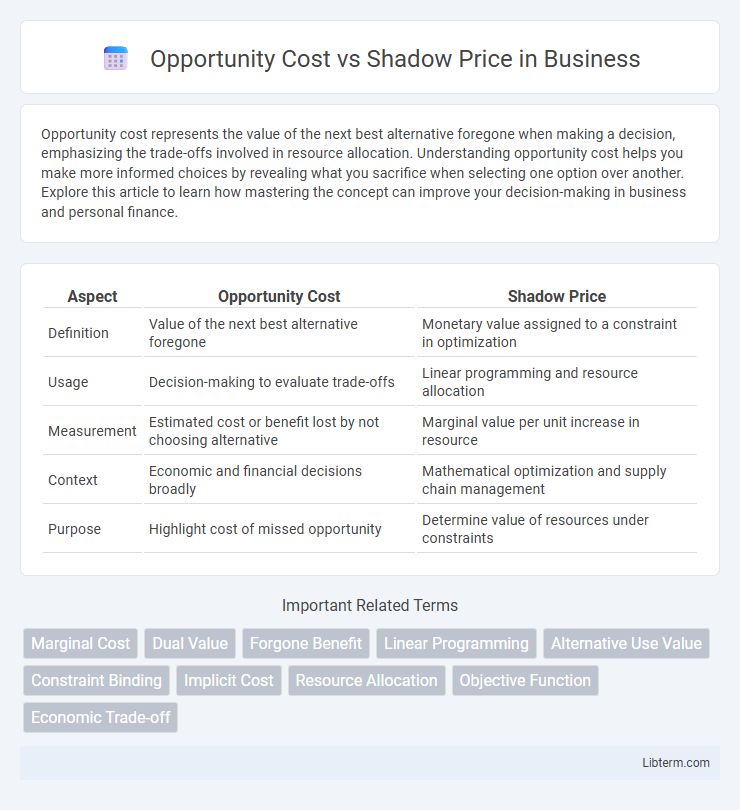 Shadow Price vs Opportunity Cost in Business - What is The Difference?