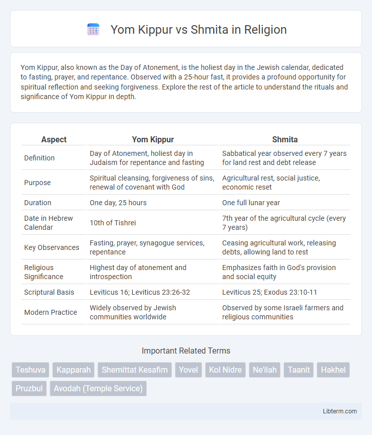 Shmita vs Yom Kippur in Religion - What is The Difference?