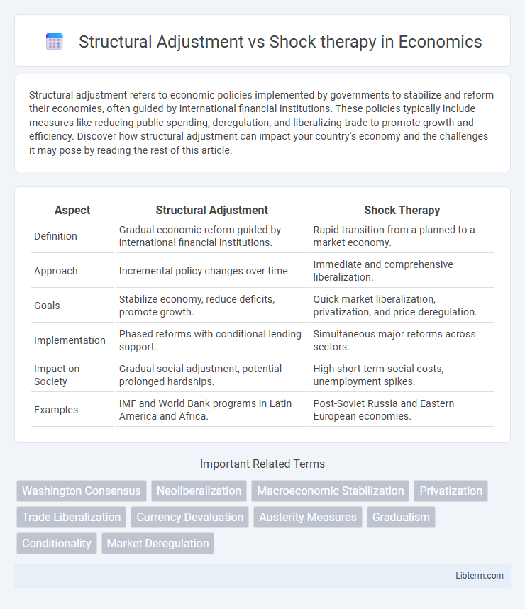 Shock therapy vs Structural Adjustment in Economics - What is The Difference?