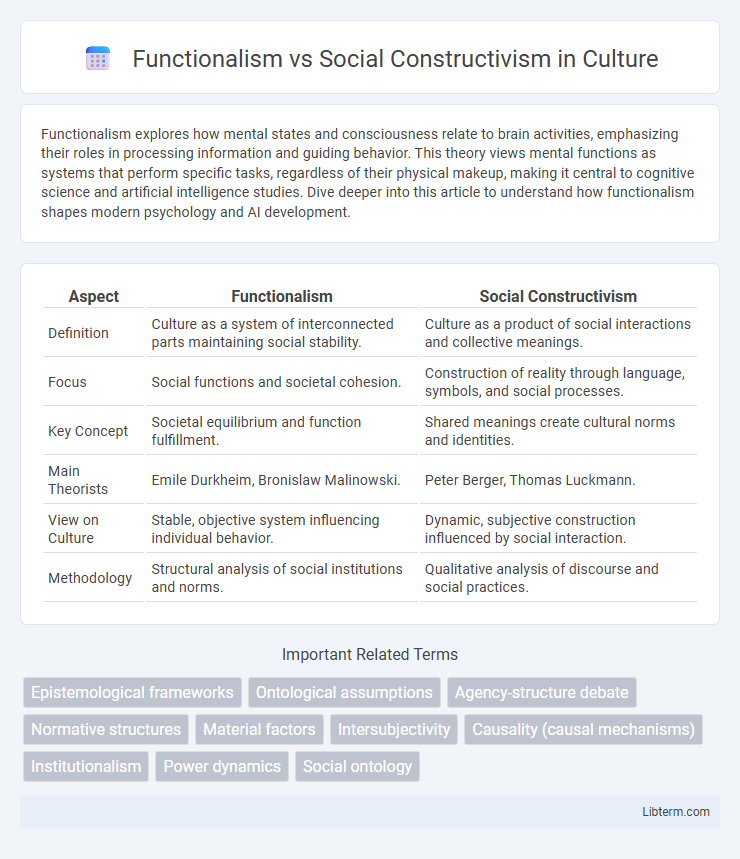 Social Constructivism vs Functionalism in Culture - What is The Difference?