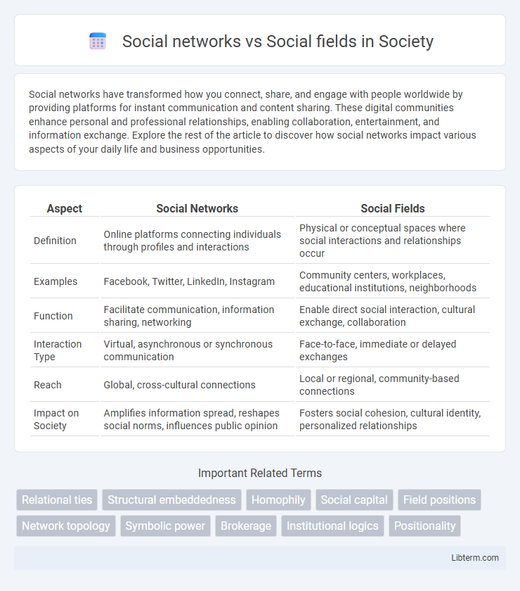 Social fields vs Social networks in Society - What is The Difference?