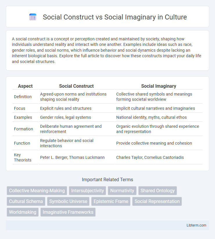 Social Imaginary vs Social Construct in Culture - What is The Difference?