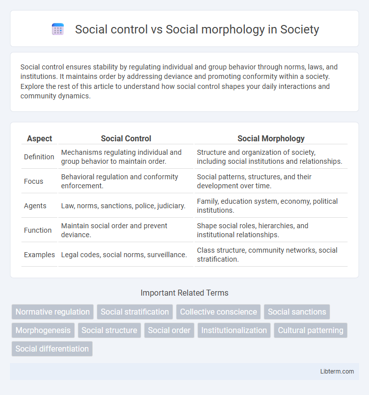 Social morphology vs Social control in Society - What is The Difference?