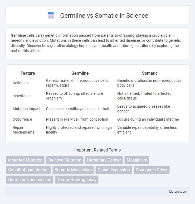 Somatic vs Germline in Science - What is The Difference?