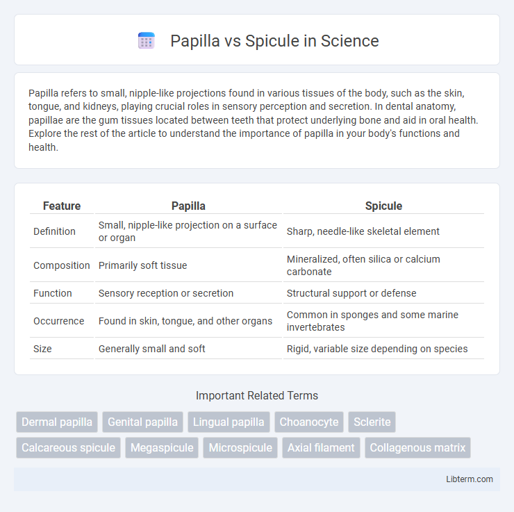 Spicule vs Papilla in Science - What is The Difference?