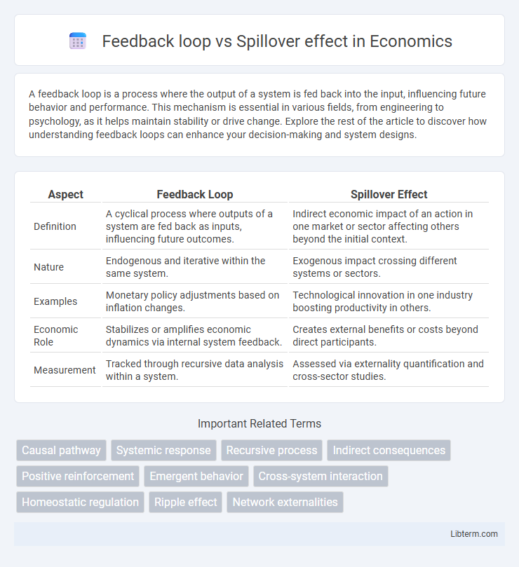 Spillover effect vs Feedback loop in Economics - What is The Difference?