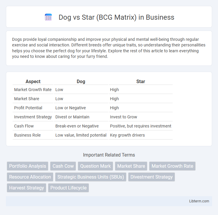 Star (BCG Matrix) vs Dog in Business - What is The Difference?