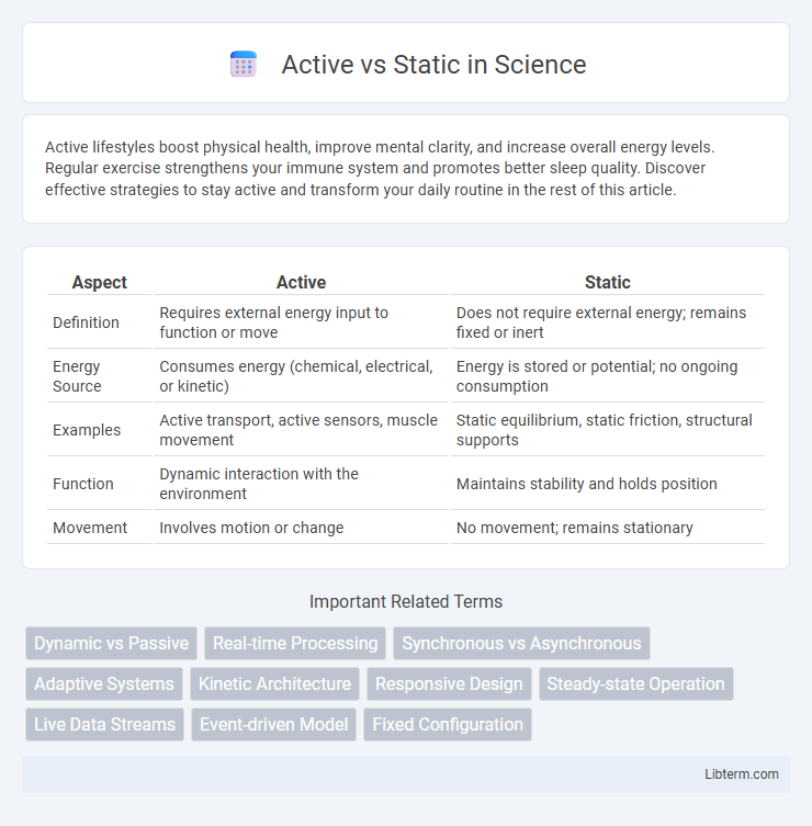 Static vs Active in Science - What is The Difference?