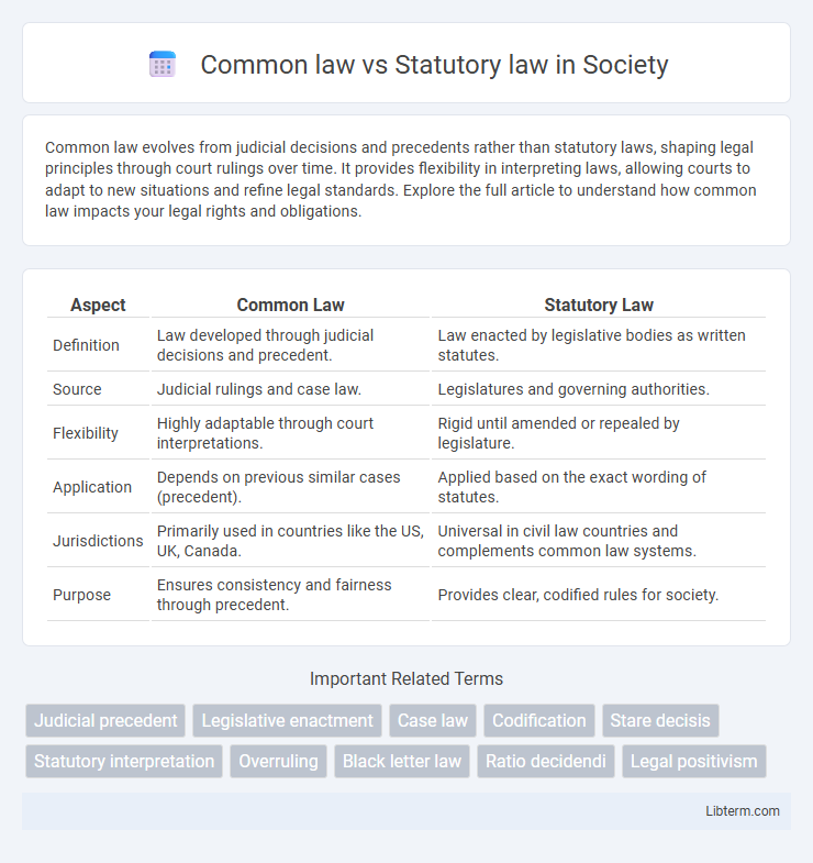 Statutory law vs Common law in Society - What is The Difference?